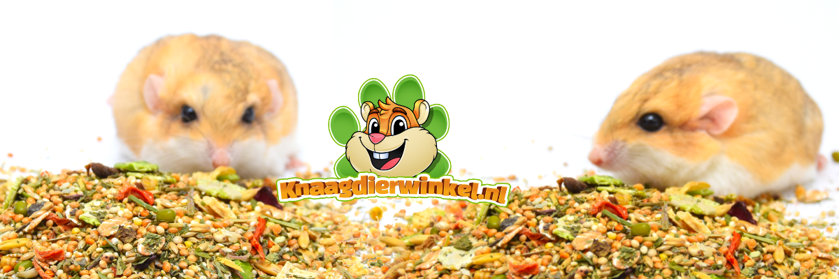 gerbil eat food Wysokiej jakości karma dla gryzoni i królików, odpowiednia dla myszy, chomików karłowatych, chomików, myszoskoczków, szczurów, świnek morskich, królików, szynszyli i koszatniczek. Odkryj zbilansowaną i pożywną dietę dla swoich gryzoni