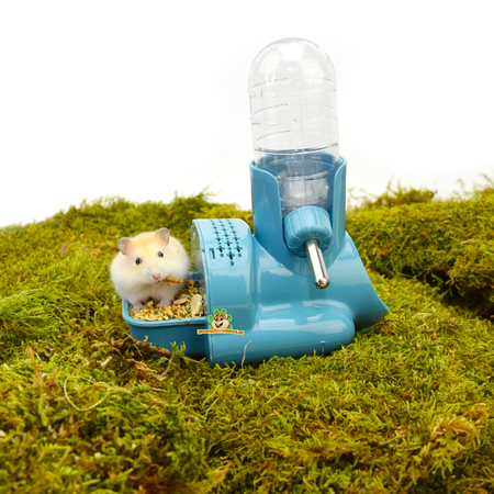 System jedzenia i picia Hamtaro 15,5 cm dla myszy i chomików karłowatych