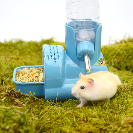 Hamtaro Food & Drink System 15.5 cm for Mouse & Dwarf Hamster