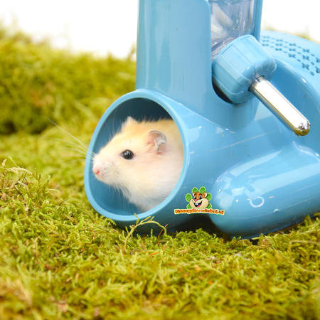 Système d'alimentation et d'abreuvement Hamtaro 15,5 cm pour souris et hamster nain