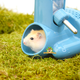 System jedzenia i picia Hamtaro 15,5 cm dla myszy i chomików karłowatych
