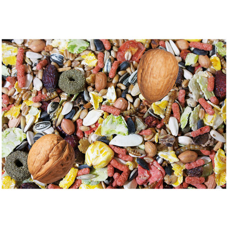 JR Farm Eichhörnchen Schmaus 600 Gramm