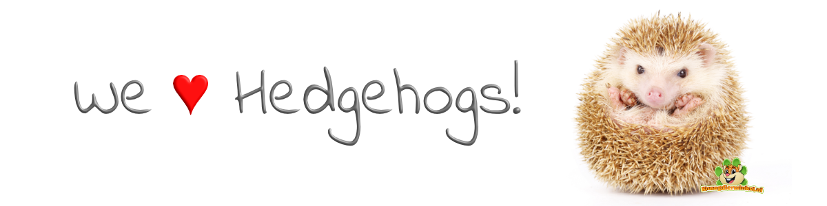 Hedgehog food and hedgehog food