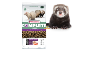 Nourriture et friandises pour furets