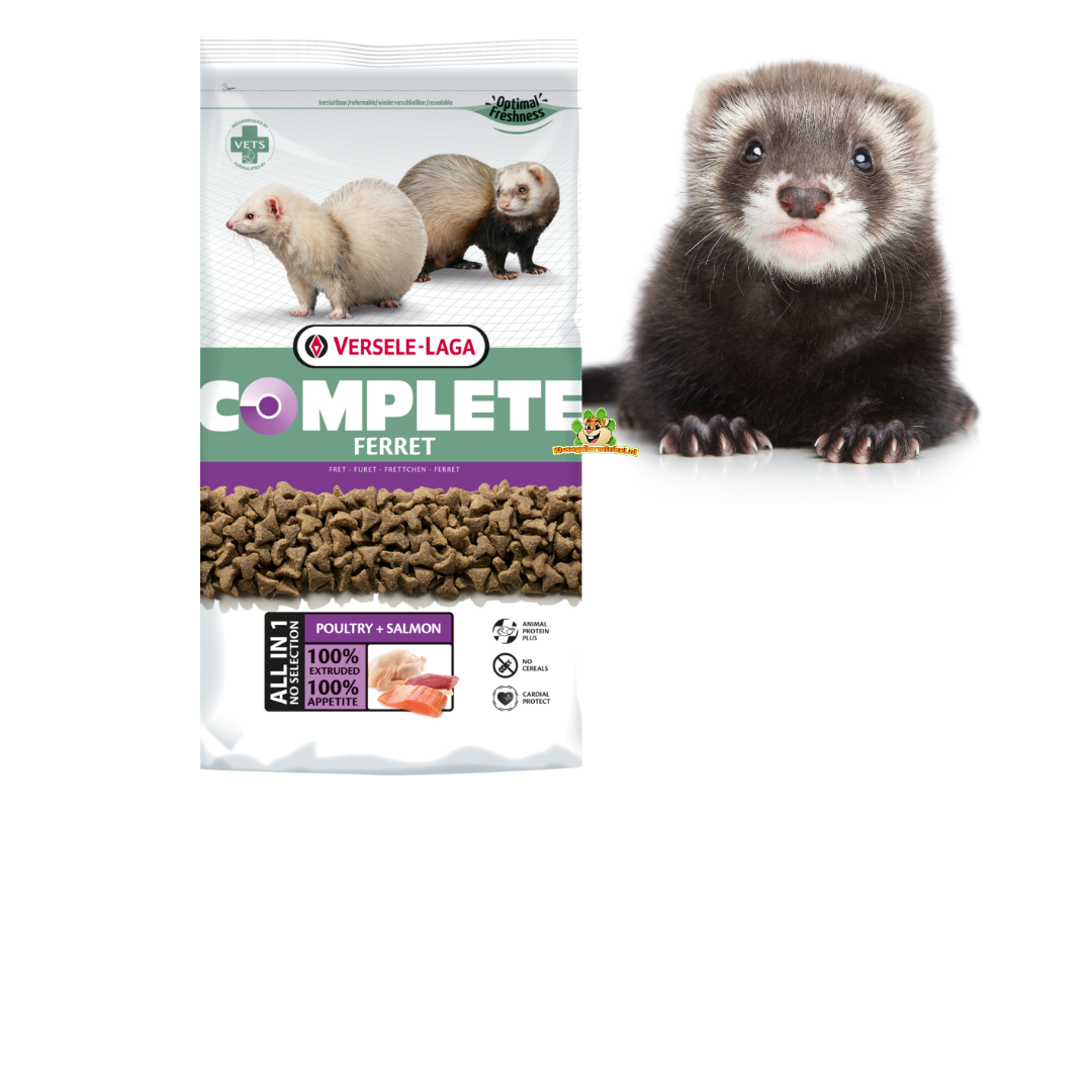 nourriture pour furet