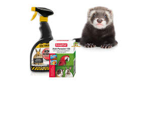 Salud y cuidado de los hurones