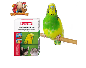 Soins et santé des oiseaux