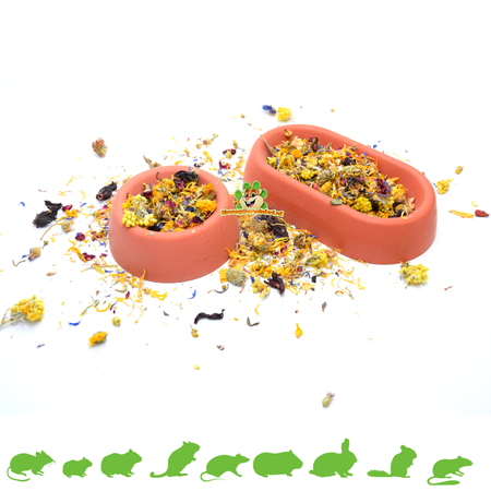 Steinfresser Nagetier & Kaninchen