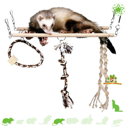 Trixie Hängebrücke 35 cm für Mäuse, Ratten und Frettchen