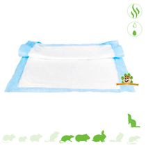 Puppy Potty Mat Nappy Plasmat