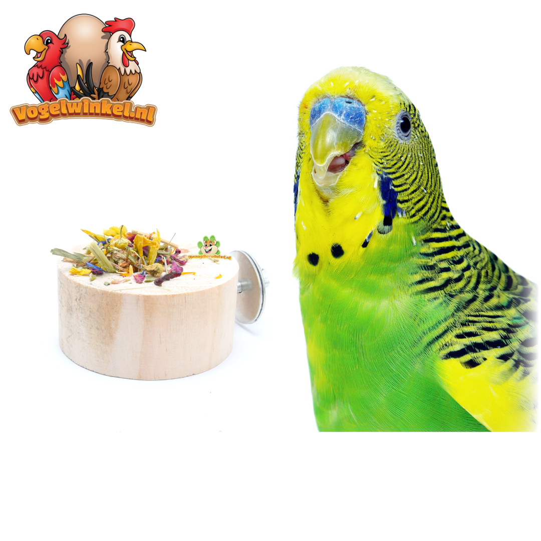 Wellensittichfutterstellen – Käfig und Voliere