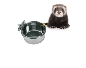 Gamelles, biberons et abreuvoirs pour furets