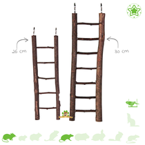 Nature Ladder