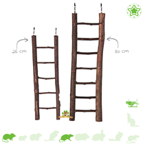 Natuur Ladder