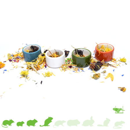 Bol pour petits animaux de 5 cm