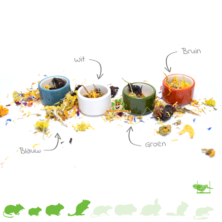 Bol pour petits animaux de 5 cm