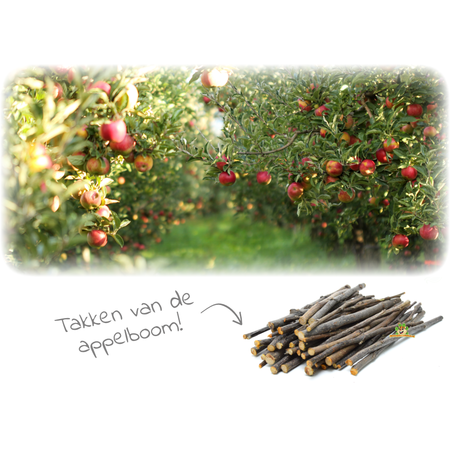 Gnawing Wood Apple Branches 200 grams