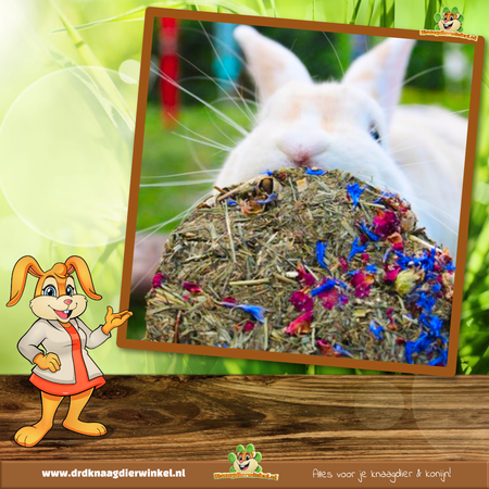 JR Farm Hay Cookie for Rodents & Rabbits