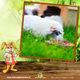 JR Farm Gourmet Platter for Rodents & Rabbits