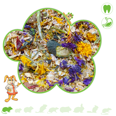 Kleurmuis Gourmet Menu voor Muizen!