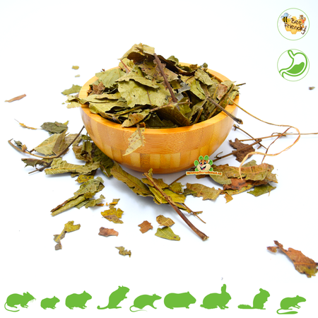 Dried Walnut Leaves for Rodents and Rabbits 80 grams