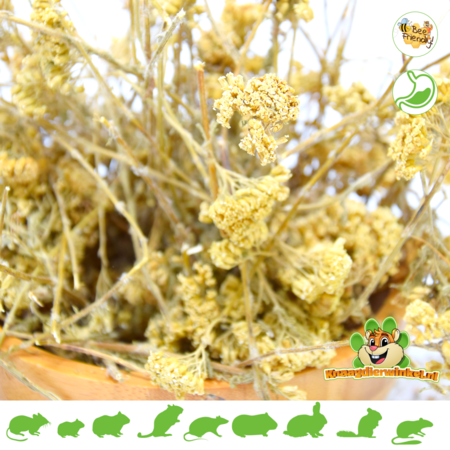 Flores de milenrama secas 50 gramos ¡para roedores y conejos!