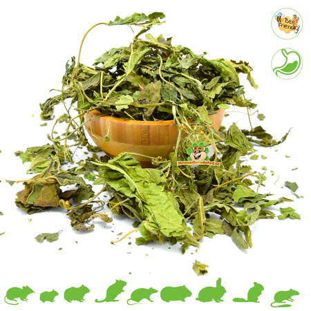 Knaagdier Kruidenier Gedroogde Moerbei Bladeren Grof voor Knaagdieren & Konijnen!