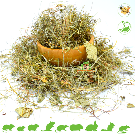 Dried Chickweed Herb for Rodents & Rabbits!