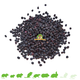 Aronia Berries for Rodents & Rabbits!