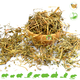 Dried Violet Herb for Rodents & Rabbits!