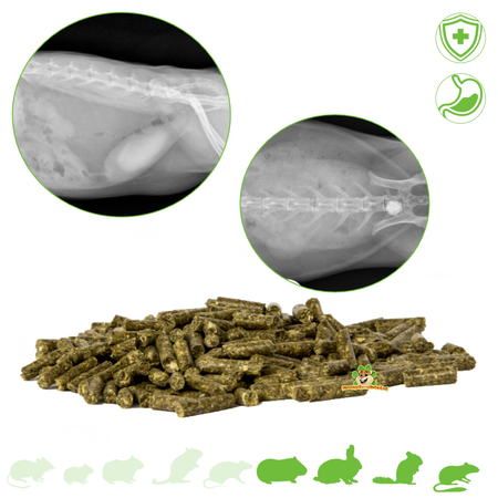 Bunny Nature GoVet UroVital pour une vessie et une fonction urinaire saines