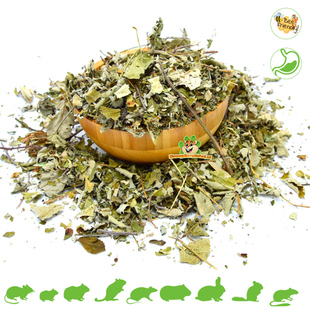 Knaagdier Kruidenier Dried Blackberry Leaves Coarse for Rodents & Rabbits!