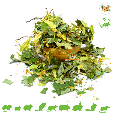Dried Lime Tree Leaves 40 grams for Rodents & Rabbits!