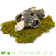 Hamsterscaping Swamp Tree Trunk für Nagetiere!