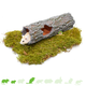 Hamsterscaping Greystone Tree Trunk for Rodents!