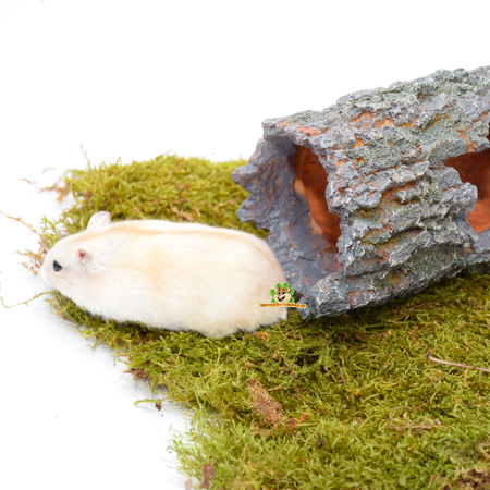 Tronco de árbol de piedra gris de 30 cm para ratón, hámster enano y jerbo.