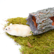 Hamsterscaping Greystone Tree Trunk for Rodents!