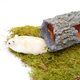 Hamsterscaping Greystone Trunk für Nagetiere!