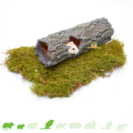 Tronc d'arbre en pierre grise pour hamsterscaping pour rongeurs !