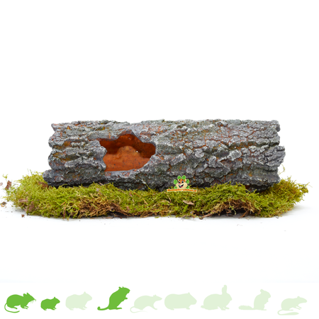 Tronc d'arbre en pierre grise pour hamsterscaping pour rongeurs !