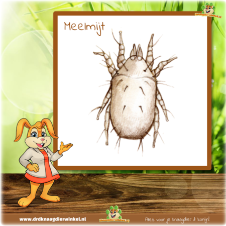 Beaphar Spray anti-nuisibles Oiseau/Rongeur 150 ml | disponible uniquement aux Pays-Bas