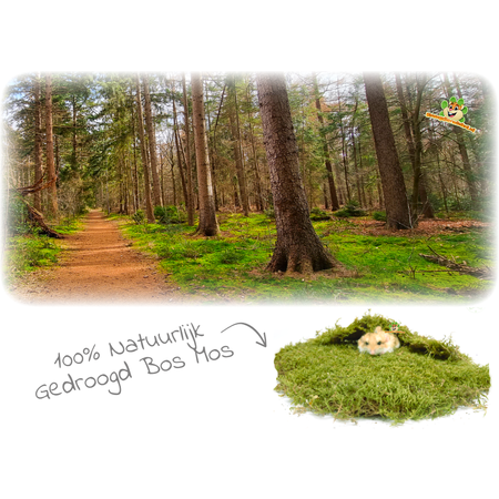 Knaagdierwinkel® Gedroogd Mos voor Hamsterscaping & Gerbilscaping
