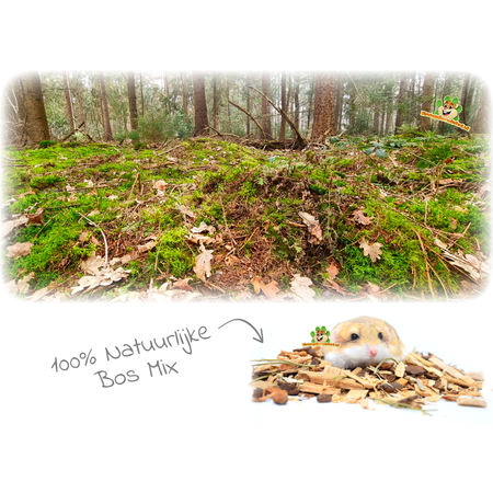 JR Farm Litter Forest feeling with pine cones ground cover