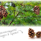 Elmato Pine cone 2 pieces for Rodents & Rabbits!