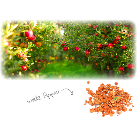 Wild Apple Slices for Rodents & Rabbits!