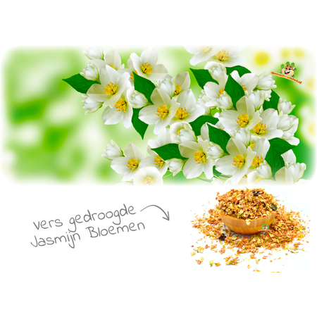Gedroogde Jasmijn Bloemen voor Knaagdieren en Konijnen