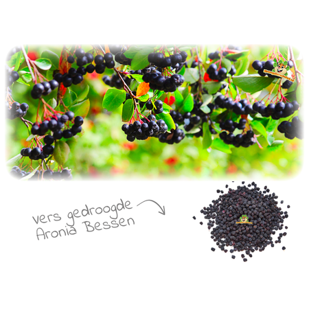 Aronia Bessen 200 gram voor Knaagdieren & Konijnen!