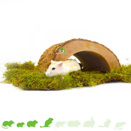 Tunnel en écorce d'arbre pour les rongeurs !