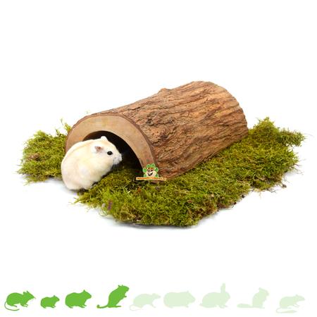 Tunnel d'écorce d'arbre pour rongeurs !