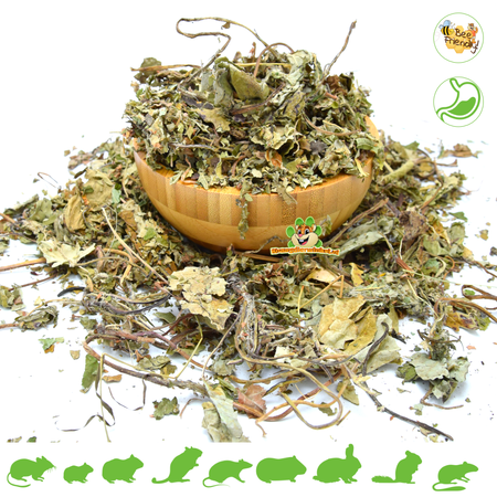 Getrockneter Huflattich, 60 Gramm, für Nagetiere und Kaninchen!